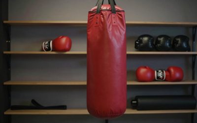 Stand Alone Punching Bags 2026: Base, Height, Stability